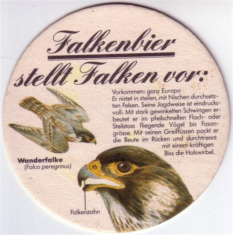 schaffhausen sh-ch falken stellt 3b (rund200-wanderfalke) 